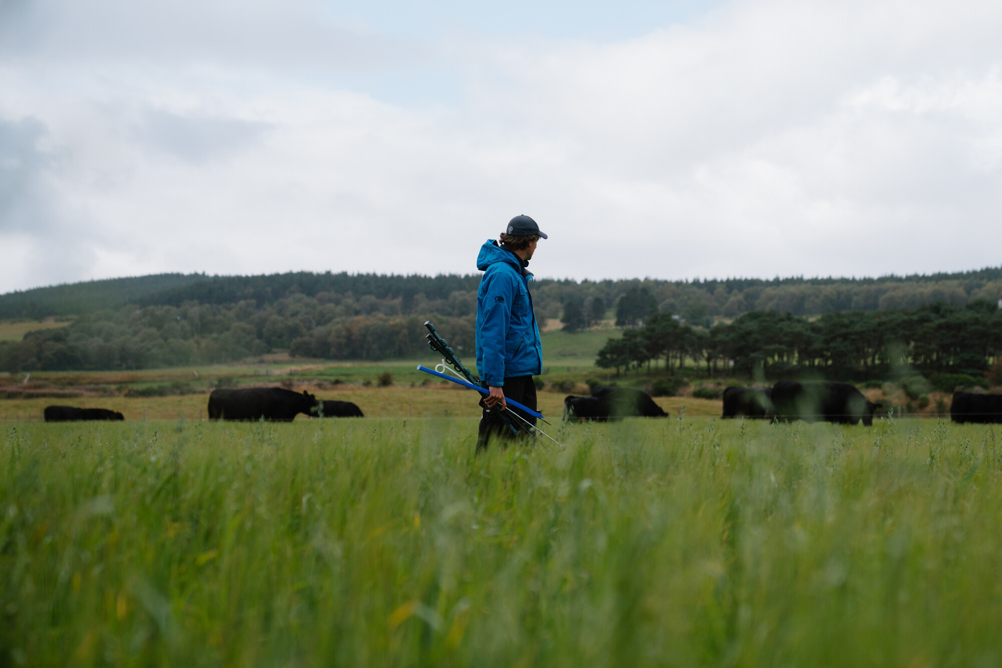 Person standing in a field of long grass with gows in the background
