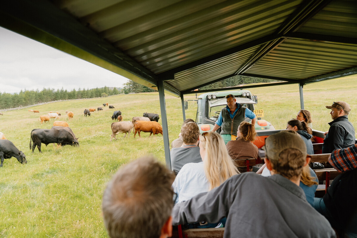 People on a trailer on a farm with cows in the background on the left