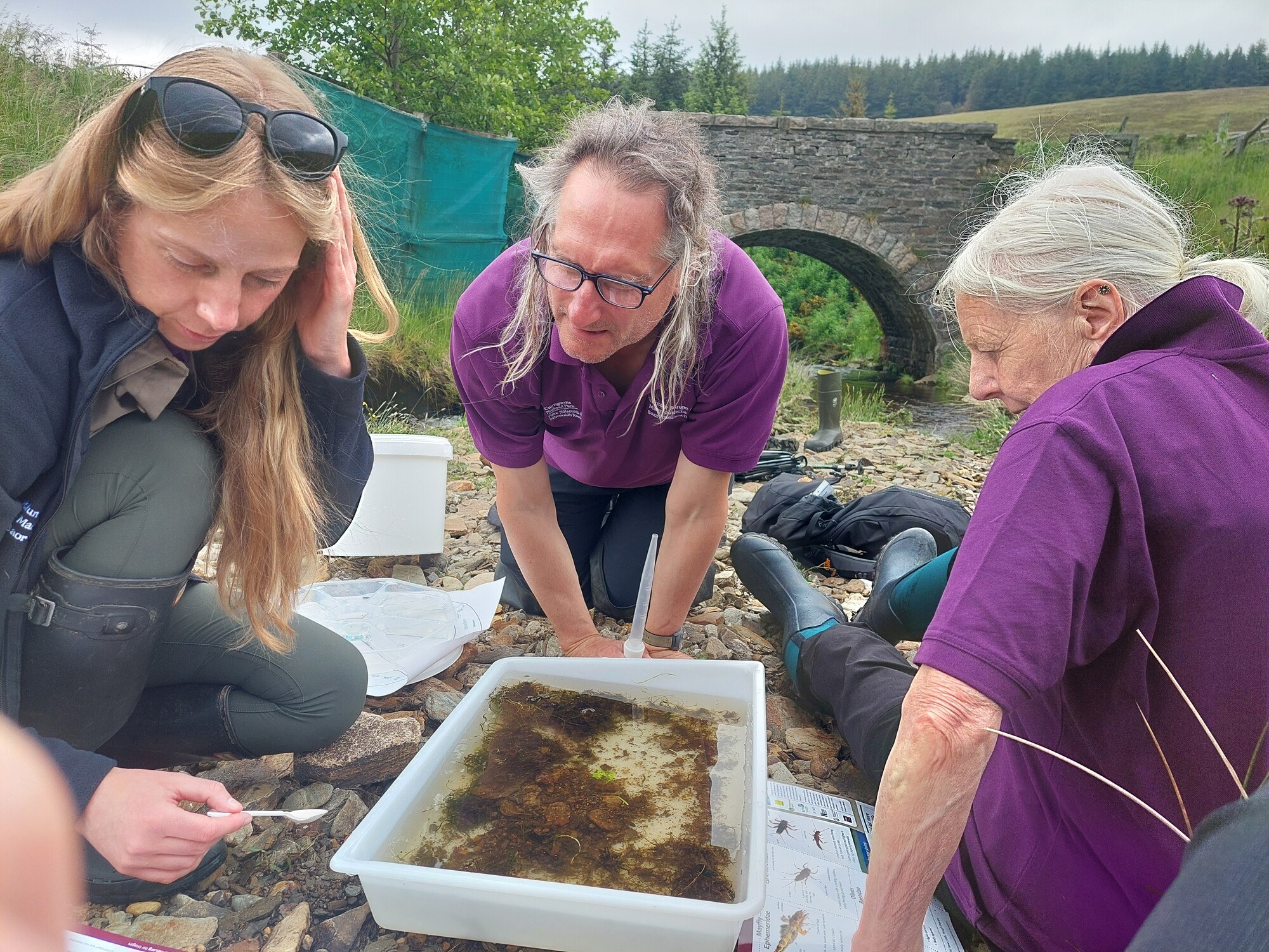 Three Volunteer Rangers undertaking a freshwater invertebrate survey check to see what they have collected
