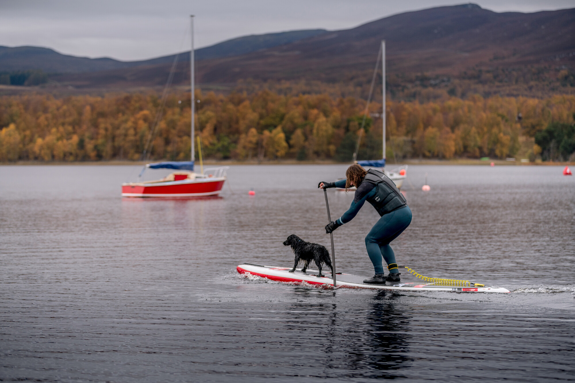 A person paddleboarding with a dog on Loch Insh