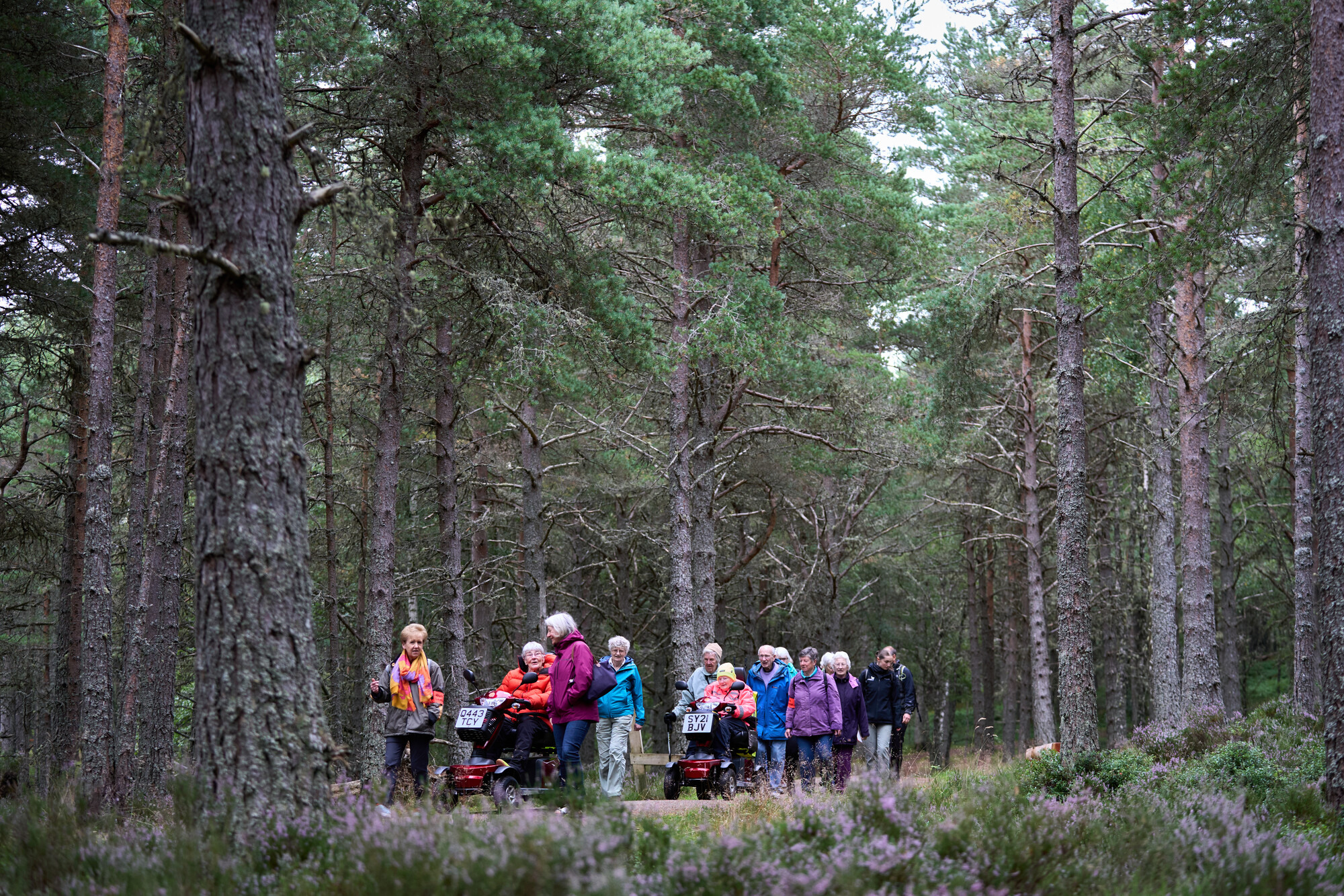 Group of people on a Heath Walk, two of the people are in mobility scooters and the rest are walking.