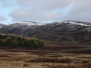 muir burn pattern (1)