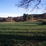 Glen Tanar