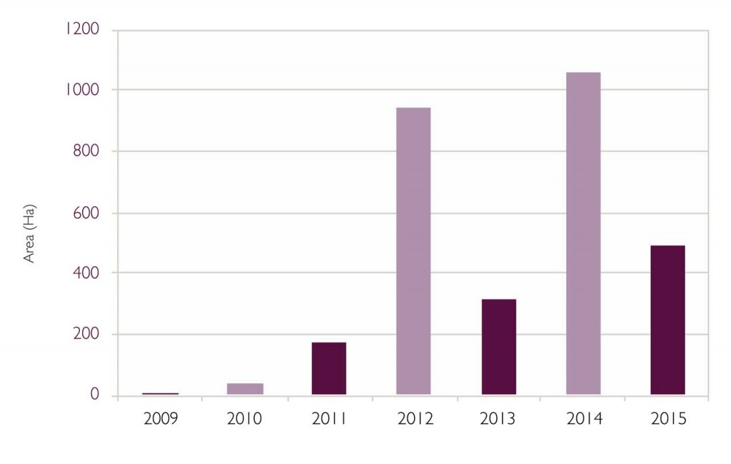 Graph showing new native woodland