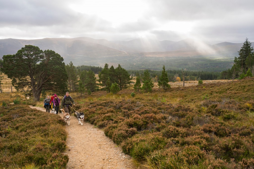 Long Distance Walkers