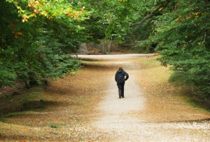 Anagach Woods Grantown Woodland Walk