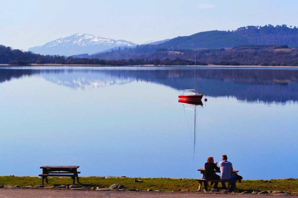 Where to meet a Highland Cow in the Cairngorms - Visit Cairngorms