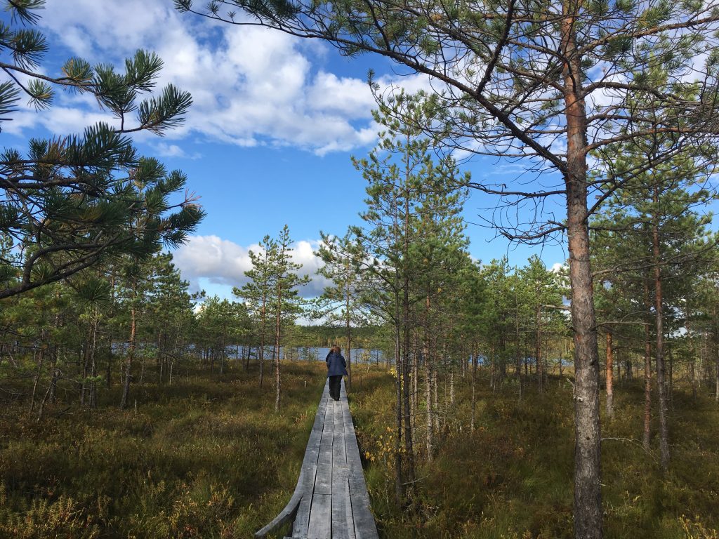 Boardwalk Latvia Heather Palomino