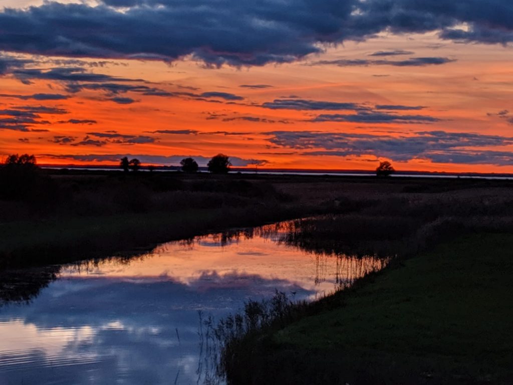 Sunset Latvia Heather Palomino