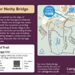 Discover Nethy Bridge's Wee Walks