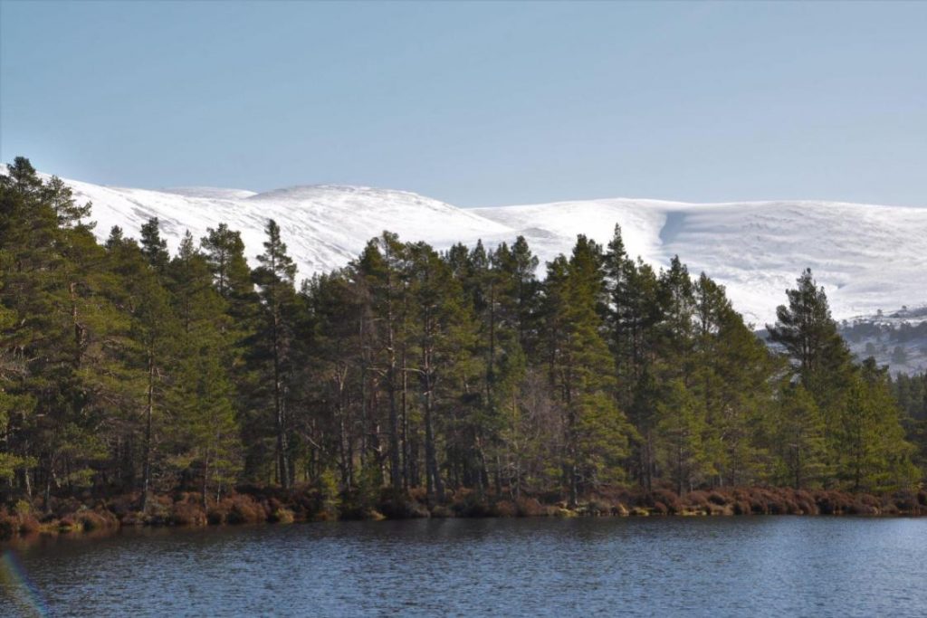 Uath Lochan and the snowy Cairngorms behind