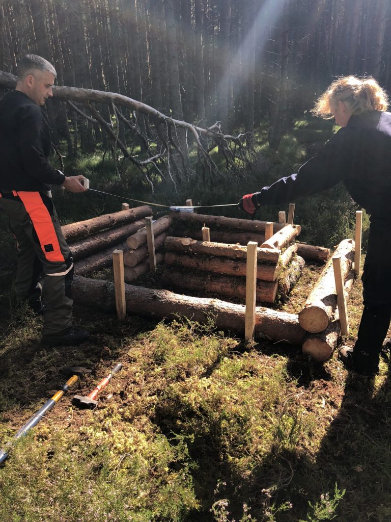 Constructing an Otter holt