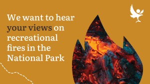 We want to hear your views on recreational fires in the National Park
