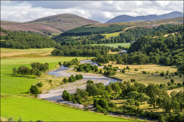 Farming in the Cairngorms