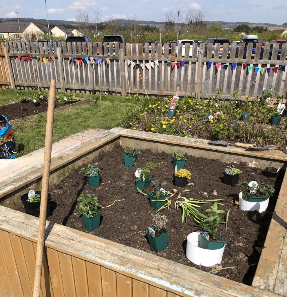 Image of yellow and green plants with multicoloured bunting on a fence behind. 